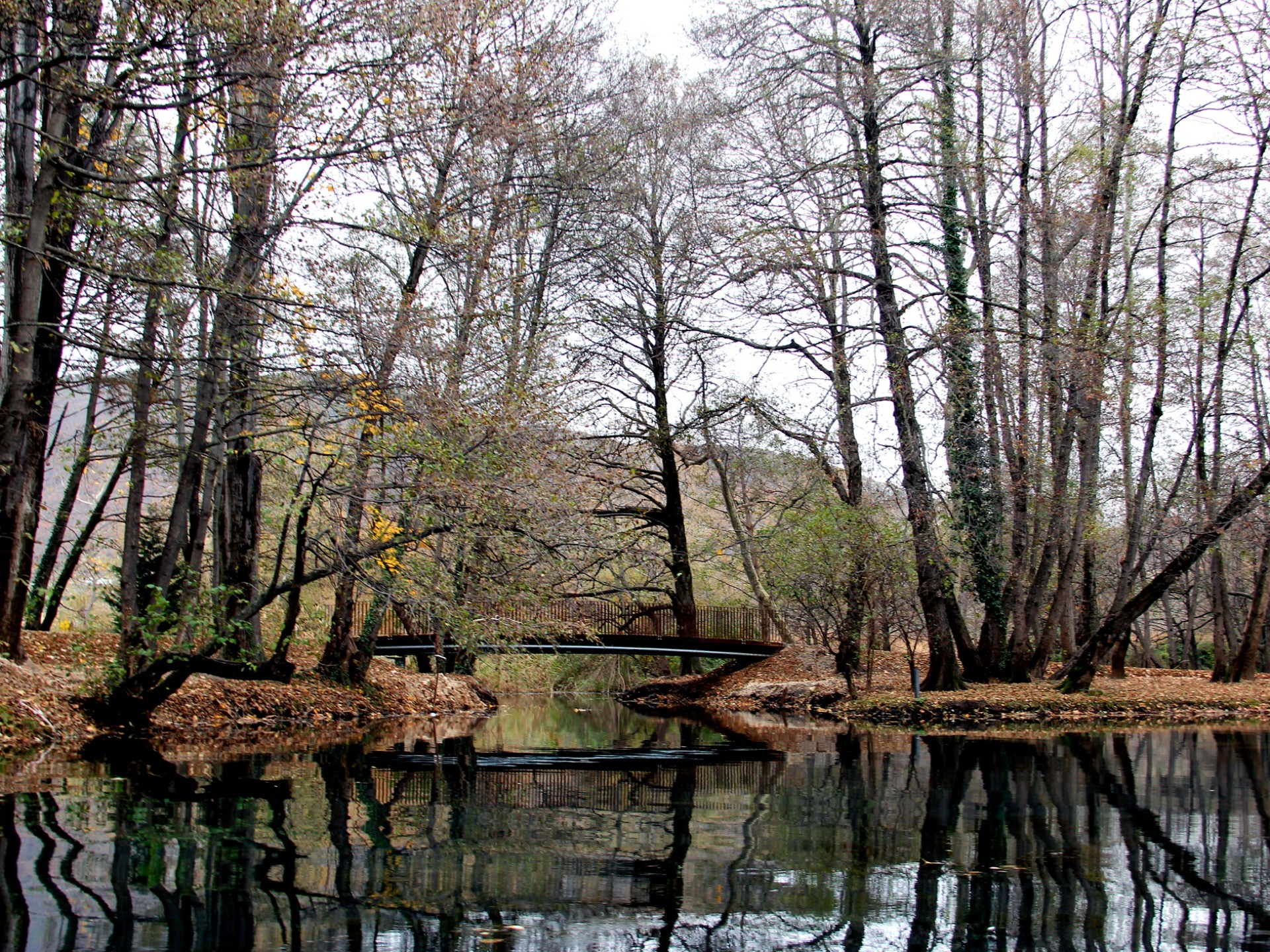 Parque Drilon